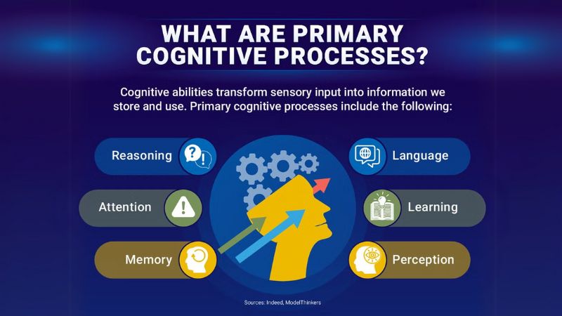 An infographic showcasing primary cognitive processes such as memory, attention, and learning.