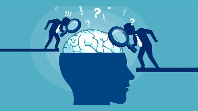 Two characters using magnifying glasses to analyze a brain with question marks.