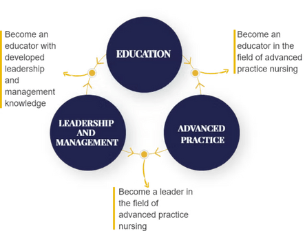 A diagram showcasing pathways for leadership, education, and advanced practice in nursing.