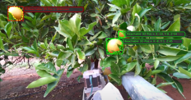Student Project Ubot Robot Harvesting 