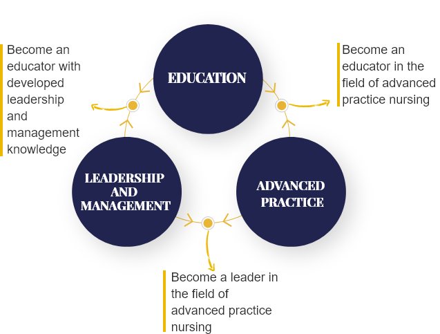Diagram showing education, leadership, and advanced practice nursing paths.