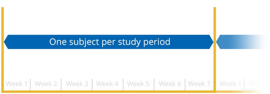 One subject per study period