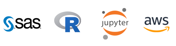 packrat r on jupyter