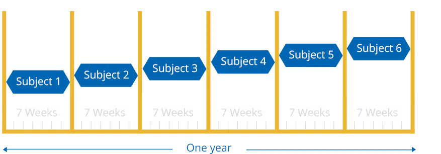 Six subjects in one year
